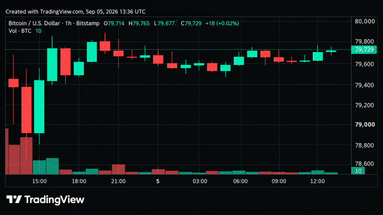 Bitcoin Price Teeters Near $80K as Momentum Starts to Crack
